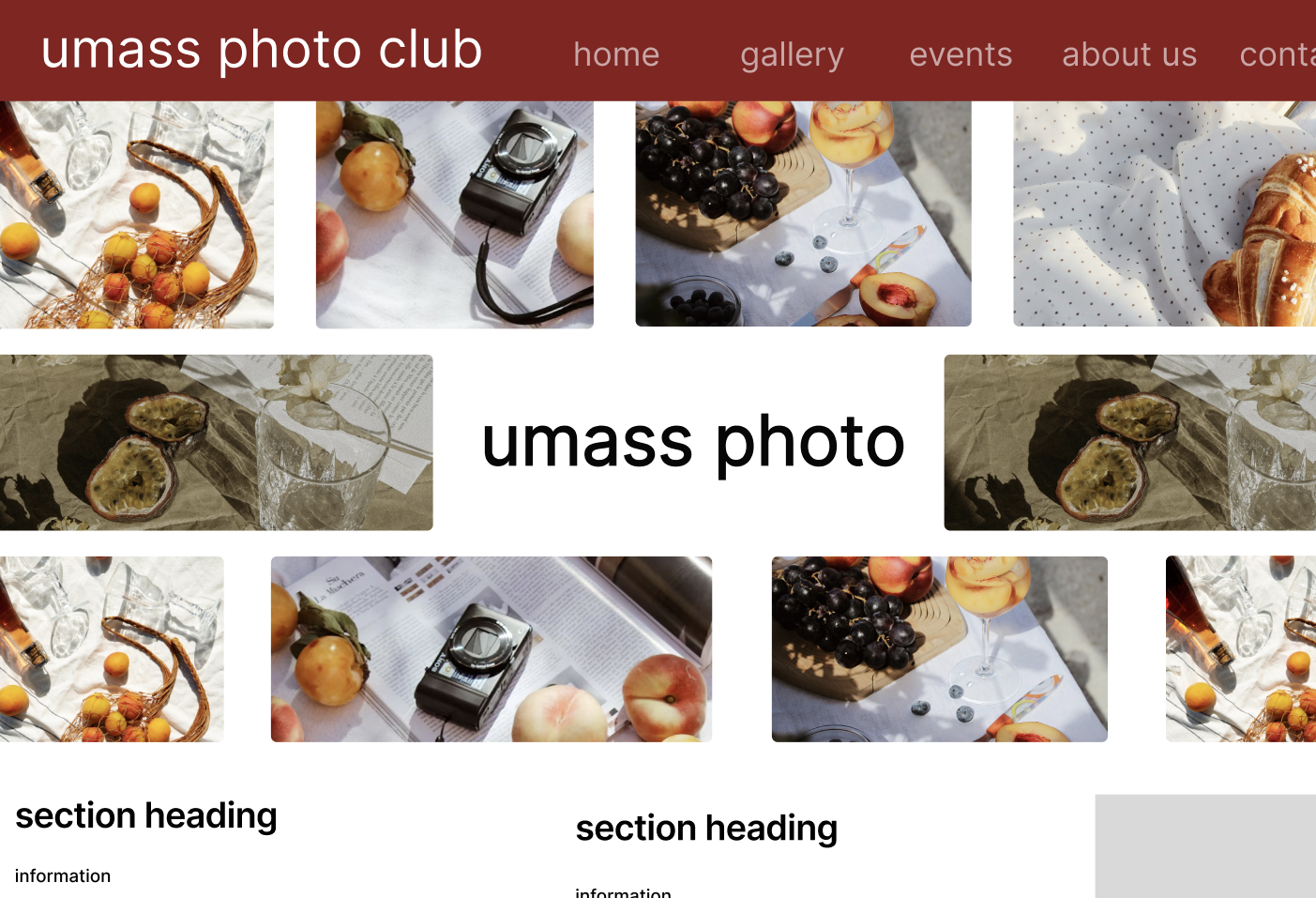 website-image